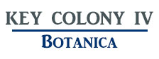 Key Colony IV Botanica Logo