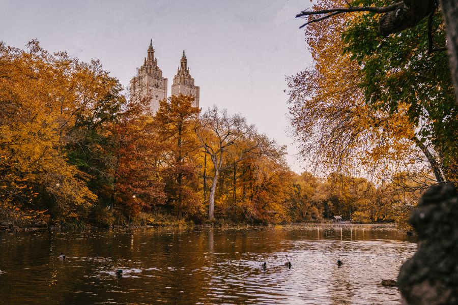 Your Curated November Event Guide for NYC