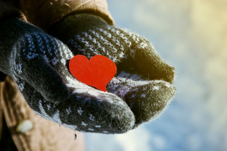 Holiday Philanthropic Initiatives You Can Support this Year: Part Two
