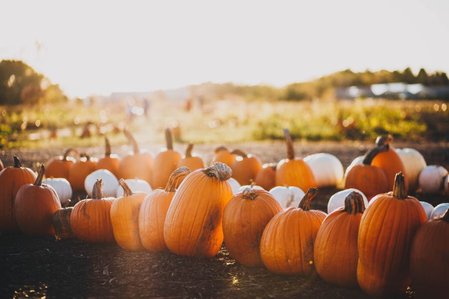 30 Cultural Events Happening this Month in Fairfield County