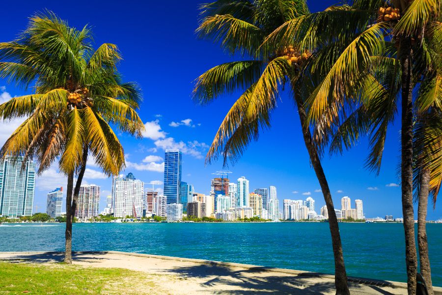 In with the New: BHS Miami Agents Share What they’re Most Excited for in 2025