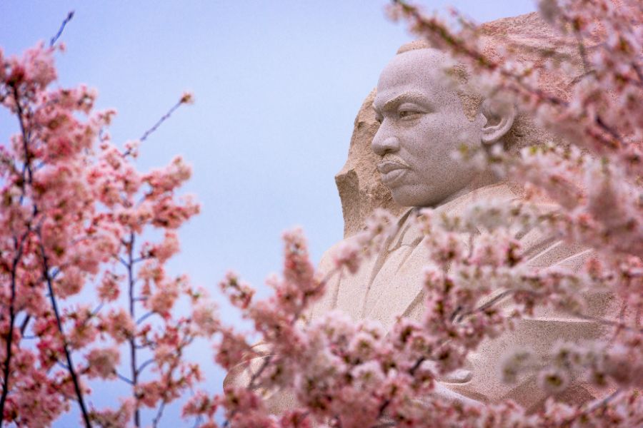 Honor Martin Luther King Jr. This Weekend with these Community Service Opportunities and Events