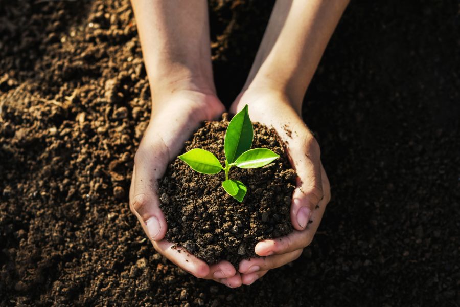 Earth Day Home Renovations: Sustainable Upgrades for a Greener Home
