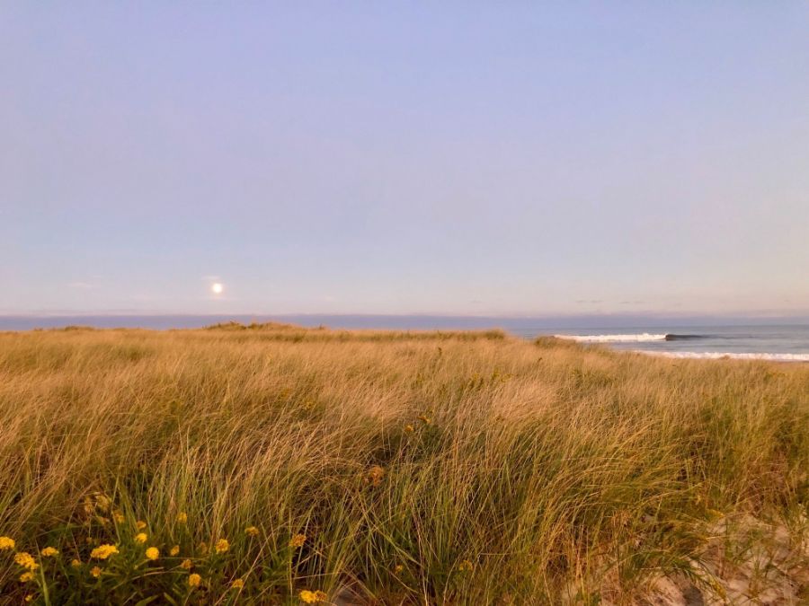 Local Legends: Celebrating Women-Owned Businesses in the Hamptons