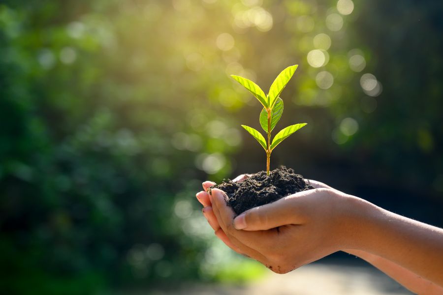 Mastering Sustainable Living Spaces: Key Strategies for Homeowners & Real Estate Investors