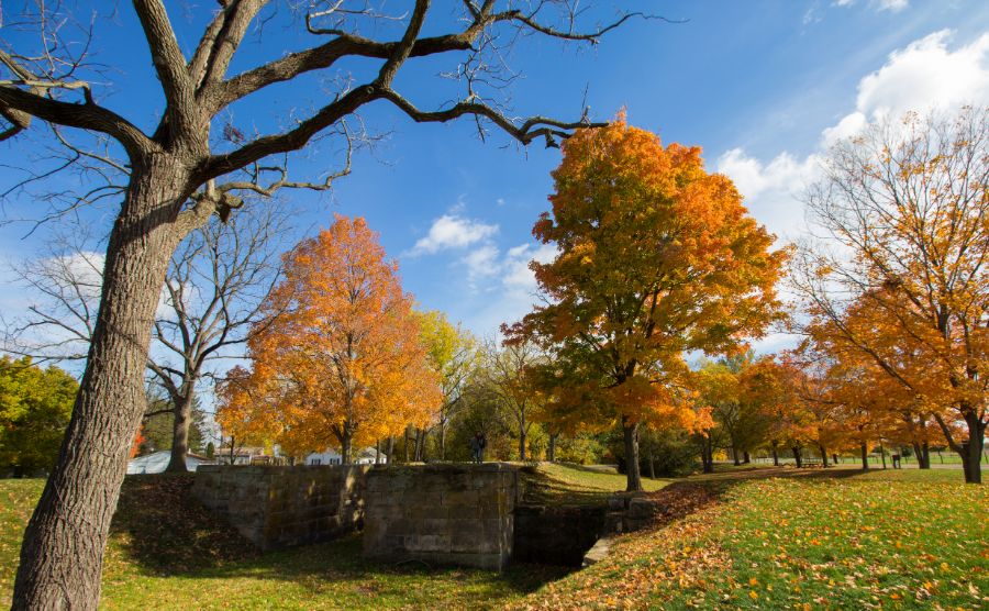 31 Events Happening This Month in Fairfield County