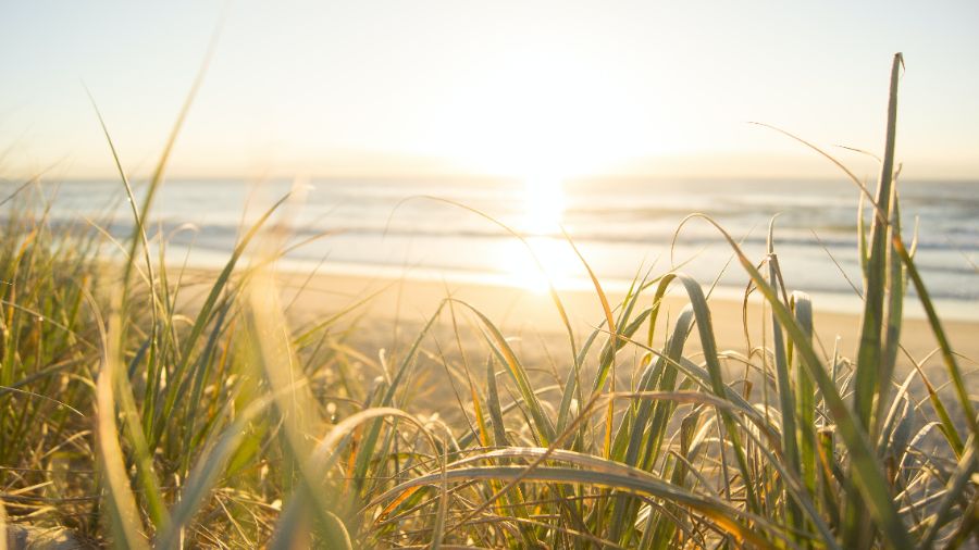 Here’s How You Can Spend This Month in the Hamptons